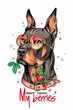 Doberman dog with a sprig of strawberries. Don't touch my berries illustration. Stylish image for printing on any surface
