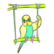 wavy parrot is riding on a swing vector illustration
