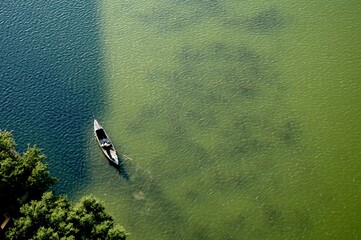 Poster - Aerial view of people rowing a canoe on a lake by a forest