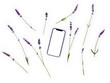 © Martyna - Smartphone flatlay flat lavender violet flower message mobile phone on white background packshot app presentation lawenda provence prowansja top view purple