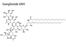 Digital Vector Illustration Of The Chemical Structure Of GM1 Ganglioside