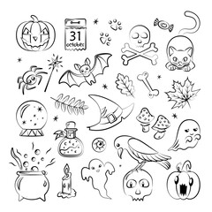 Collection of traditional Halloween outline elements - bat, ghost, bone, spider, pumpkin, cat, cauldron, poison, etc. Isolated on white background. Vector objects for traditional event design.