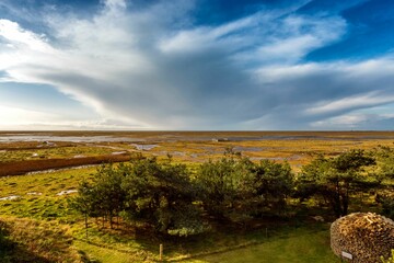 Sticker - Beautiful view of a field near the lake with trees under the sunlight