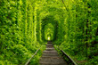 a railway in the spring forest. Tunnel of Love