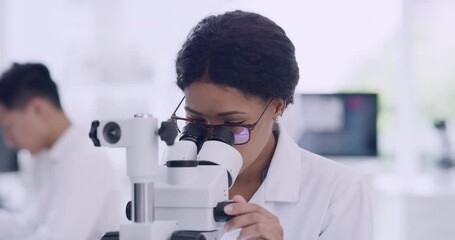 Poster - Female scientist using a microscope with glasses in a research lab. Young biologist or biotechnology researcher working and analyzing microscopic samples with the latest laboratory tech equipment