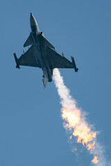 Gripen