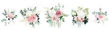 Blush Pink Rose, Ranunculus, Dahlia, Peony, Hydrangea, Anemone, Carnation Flowers Vector Design