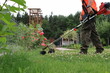 A gardener mows the grass in the garden with a brushcutter.
Ogrodnik kosi trawę w ogrodzie za pomocą wykaszarki.