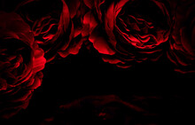 Beautiful Abstract Color Black And Red Flowers On Black Background, Light Pink Flower Frame, Pink Leaves Texture, Dark Background, Valentines Day, Love Theme, Red Texture