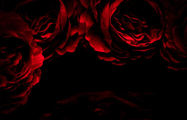 Wall Mural - Beautiful abstract color black and red flowers on black background, light pink flower frame, pink leaves texture, dark background, valentines day, love theme, red texture