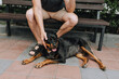 A man sits on a bench in the park, plays and caresses his beloved Rottweiler dog. Photography, portrait of man and animal.