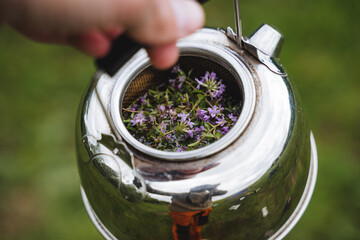 Poster - A metal kettle is shot close-up, thyme grass is brewed in a teapot, a camp kitchen, tourist dishes, a hot drink.