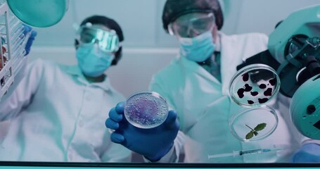 Poster - Below of two scientists using syringe and petri dish in testing lab. Micro biologist examine purple liquid bacteria in glass mixture to invent a vaccine cure for virus at innovative research hospital