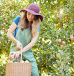 © Jade M/peopleimages.com - Serious apple farmer harvesting fresh fruit on farm. Focused young woman using a basket to pick and harvest ripe apples on her sustainable orchard. Surrounded by green plants, growth and agriculture