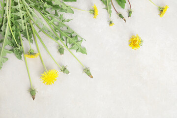 Canvas Print - Fresh dandelion on light background.