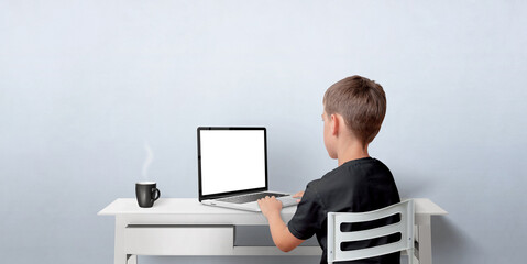 Leinwandbilder - Young boy working on the laptop computer. Notebook with isolated display for web page promotion. Back view with copy space on wall