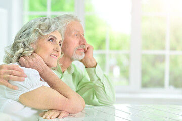 Sticker - Portrait of senior couple posing at home