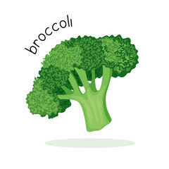 Vector illustration of green broccoli with lettering in flat style isolated on white background.