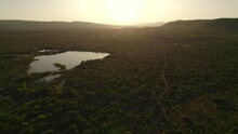 Birds Eye View Of Beautiful Lake In Middle Of Dense Green Forest During Sunrise. Aerial.