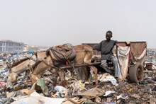 Impoverished Street Boy Earning His Living By Driving A Donkey Cart On An Urban Garbage Dumping Site