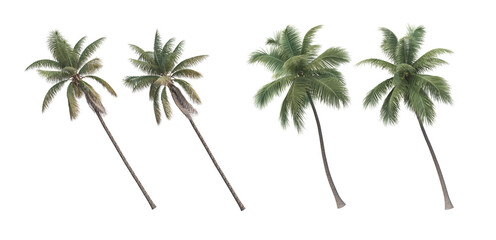  Many trees on a white background