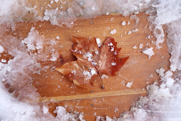 Canvas Print - dry leaf on snowy wooden table