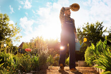 Summer Heat. Bearded Adult Man In Work Overalls Wiping Sweat From His Forehead. Sunny Backyard And Sky At The Backgroud. Gardening And Horticulture Concept