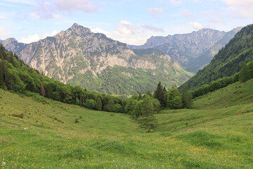 Wall Mural - Frühling im Salzkammergut; Niedergadenalm mit Rinnkogel und Gamsfeld