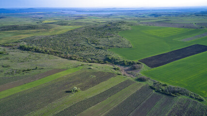 Green farm fields aerial view in early spring on a clear sunny day. Agriculture and landscape aerial photography