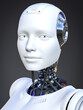 3D rendering of a female android robot head in front view.