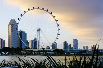 Sticker - Skyline of a Ferris wheel and skyscrapers in Singapore on a cloudy sunset