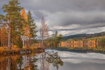 Sticker - Beautiful view of the reflection of a forest on the lake in Sweden