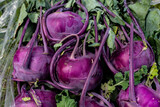 Fototapeta Kuchnia - kalarepa, fioletowa kalarepa, biała kalarepa, kohlrabi, purple kohlrabi, white kohlrabi,