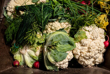 Zepsute Warzywa, Nieświeże Warzywa, Bio śmieci, Spoiled Vegetables, Stale Vegetables, Bio Garbage,