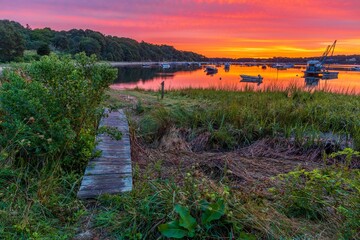 Sticker - Beautiful shot of a wooden walking path in the background of a lake full of boats in the sunset.