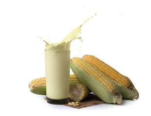 Wall Mural - fresh corn milk and corn isolated on white background,corn milk splash