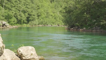 Wall Mural - Shot of a mountain river on a sunny summer day