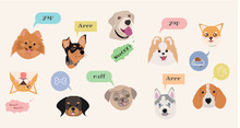 Dog Set Head . Dogs Pets Character. Labrador Dog, Golden Retriever And Husky. Cartoon Vector Isolated Illustration Set