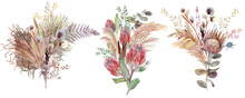 Set Of Bouquets With Protea Flowers And Dry Palm Leaves And Pampas Grass In Boho Style Isolated On White Background.