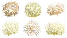 Cartoon Tumbleweed. Western Valleys And Deserts Plant, Rolling Dry Tumble Weed Ball Roots Vector Set