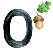 Watercolor Drawing. Card With Letter O. Alphabet For Children With Forest Animals. Cute Drawing Acorn, Oak