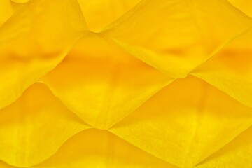 Yellow paper cells abstract patterns and textures background with shallow depth of field.