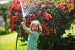 little gardener child helping to watering flowers with garden hose in summer garden. Seasonal yard work.