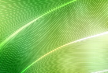 Wall Mural - Light Green, Yellow vector pattern with wry lines.