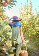 © Jade M/peopleimages.com - One farmer harvesting juicy and nutritious organic fruit in summer season. Woman holding a basket of freshly picked apples from trees in a sustainable orchard outside on a sunny day from the back