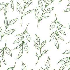 Poster - Natural leaf vector pattern with hand drawn leaves, seamless background