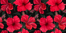 Lovely Red Hibiscus Flowers. Seamless Tropical Wallpaper. Exotic Tropical Pattern. Hand Drawn 3d Illustration For Fabric, Wallpaper, Paper