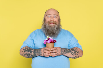 Wall Mural - excited plus size man with tattoos holding paper cup with colorful flowers isolated on yellow.