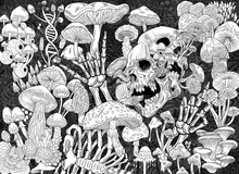 Graphically Hand-drawn Drawing Magical Psychedelic Mushrooms And Skulls. Hippie Magic Mushrooms Illustration Print. Texture Background For Creativity And Advertising