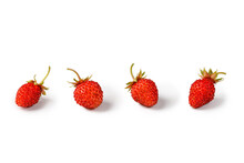 Ripe Strawberry (fragaria Vesca) Isolated On White Background. Wild Red Woodland Strawberry Fruits. Four Berries.